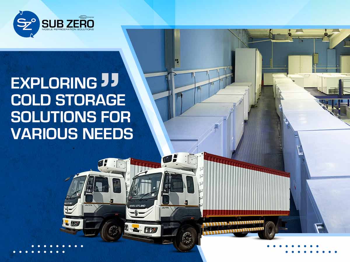 Exploring Cold Storage Solutions for Various Needs